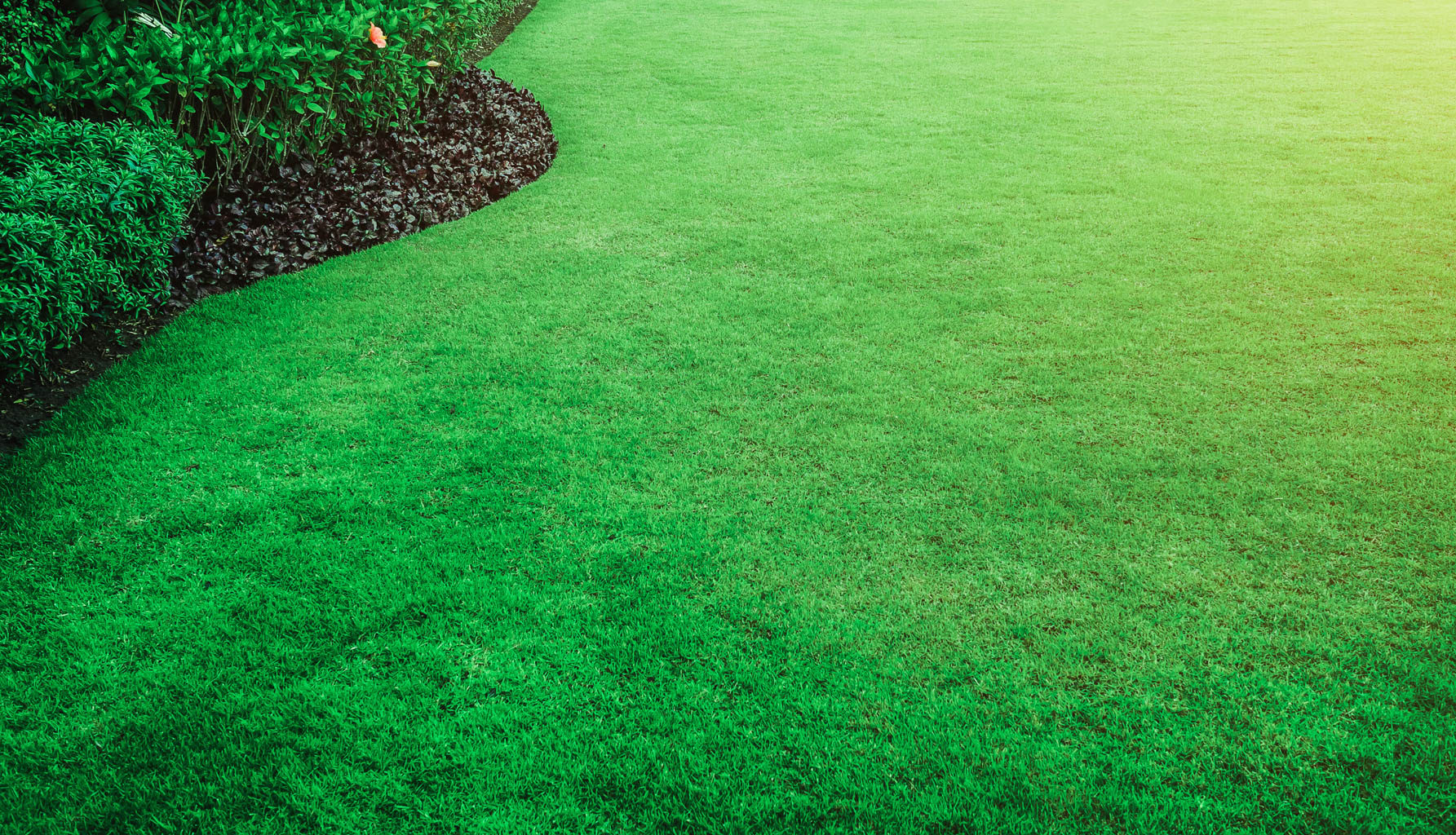 Rueda Landscape LLC logo